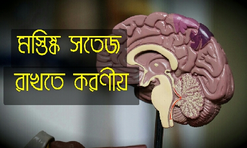 আপনার মস্তিষ্ককে সতেজ রাখতে এই উপায়গুলো অনুসরণ করুন