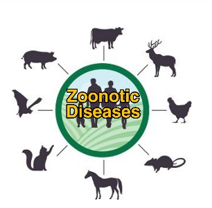 Zoonotic diseases