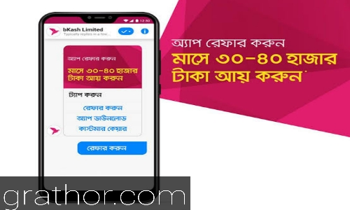 বিকাশ থেকে প্রতিদিন 2000 টাকা ইনকাম করুন