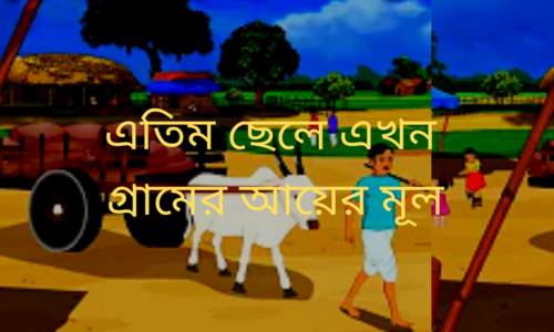 এতিম ছেলে এখন গ্রামের আয়ের মূল!