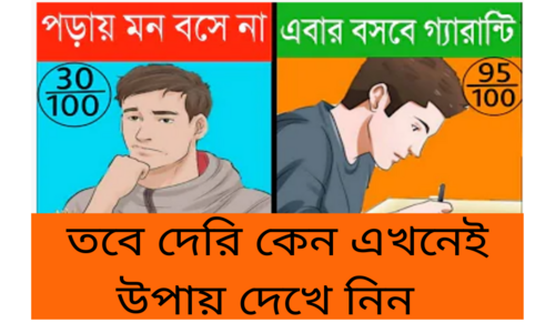 পড়াশোনা করার কিছু গুরুত্বপূর্ণ উপদেশ