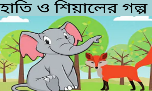 হাতির লেজ বড় করার স্বপ্ন