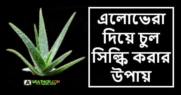 এলোভেরা দিয়ে চুল সিল্কি করার উপায় 2022