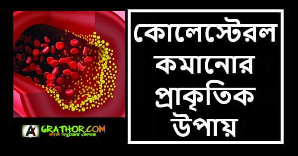 কোলেস্টেরল কমানোর প্রাকৃতিক উপায়