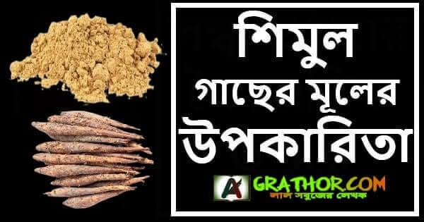 শিমুল গাছের মূলের উপকারিতা