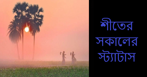 আসসালামু আলাইকুম। কেমন আছেন সবাই? আশা করি আল্লাহর রহমতে সবাই ভাল আছেন। আমিও আপনাদের দোয়ায় আনেক ভালো আছি। এই পোস্টে আজকে আমি, শীতের সকালের স্ট্যাটাস  নিয়ে আপনাদের কাছে হাজির হলাম । তো আর দেরি না করে চলুন শুরু করা যাক। শীতের সকালের স্ট্যাটাস শীতকাল হচ্ছে ঠান্ডা ও কুয়াশার ঋতু। শীতকালে সামান্য দূরের বস্তুও দেখা যায় না। লম্বা লম্বা গাছ গুলো কুয়াশায় ঢাকা থাকে তাই দেখা যায় না। প্রকৃতি ভিন্ন রূপে সাজে। সেই রূপ টা অনেক মনোরম। সুন্দর্য দেখা যায় বিশেষ করে কুয়াশাচ্ছন্ন সকালে। শীতের রাতে মানুষ লেপ - কম্বল গায়ে দিয়ে নিশ্চুপ হয়ে শুয়ে থাকে। ভোরে ভেসে আসে মুয়াজ্জিনের আযানের ধ্বনি। তীব্র শীতে ও ধর্ম পরান মুসলমান গণ নামাজ আদায় করেন, মসজিদে যান। লাঙ্গল ও গরু নিয়ে কৃষকেরা মাঠে যায়। গায়ে সামান্য শীতের জামা পরে। অনেকের তাও নাই। কাপতে কাপতে যায় মাঠে। শীতের সকাল থাকে কুয়াশায় ঢাকা। ঘড়ির দিকে তাকালে বুজা যায় বেলা কতো হয়েছে। বাইরে হাড় কাঁপানো শীত, লেপ ছেড়ে উঠতে মনই চায় না। ছোট ছোট ছেলে মেয়েরা একটু সূর্যের আলো দেখলে উকি মারে। শিশুরা খর জোগাড় করে আগুন ধরায় শরীর গরম রাখার জন্যে। বুড়ো - বুড়িরা রোদ পোহায়। কিছু লোক খেজুরের রস বিক্রি করতে আসে। শীতের সকালে খেজুরের রস খেতে অনেক মজা। গ্রামে শীতের সকালে আরো অনেক ধরনের ফেরিওয়ালা আসে। তারা বাড়ি বাড়ি ঘুরে মোয়া - মুড়কি, মিষ্টি ইত্যাদি বিক্রি করে। গ্রামের খেটে খাওয়া মানুষের জন্যে শীত খুব কষ্টদায়ক হয়। কারণ শীতের কারণে তাদের কাজে যেতে কষ্ট হয়। অনেকেরই গরমের পোশাক থাকে না। শীতের সকালে গ্রামের বধূরা ধান মারাই, ধান সিদ্ধ করার কাজে ব্যস্ত হয়ে পরে। শীতের সকালে শহরের অবস্থা ভিন্ন রকম হয়। শীতের সকালে রাস্তায় হেডলাইট জ্বালিয়ে গাড়ি চালাতে হয়। রিক্সাওয়ালারা ধীরে ধীরে রিক্সা চালায়। রাস্তার পাশে চায়ের দোকানে ভিড় জমে। ছোট ছোট ছেলে মেয়েরা নানা রকমের শীতের পোশাক পরে স্কুলে যায়। অন্যদিকে বস্তির মানুষের জন্য শীত খুবই কষ্ট দায়ক হয়ে পরে। শীতে কাজে যেতে পারে না। তাদের শীতের বস্র থাকে না। তীব্র শীতে অনেকের মৃত্যু ও হয়। শীতেকালে অনেকে শীতের পিঠা বানায়। নানা রকমের শীতের পিঠা বানানো হয়। শীতকালে মানুষ একে অপরের বাসায় বেড়াতে বেশি যায়। মেহমানদের নানা রকমের খাবার বানিয়ে খাওয়ানো হয়। আবার খেজুরের রস দিয়ে পিঠা পায়েস ও বানানো হয়। শীতের সকালে অন্য রকম একটা খাবার হলো জমাট বাঁধা মাছের তরকারি দিয়ে পান্তা ভাত খাওয়া এ এক অন্য রকম খাবার। প্রকৃতি বিভিন্ন ভাবে নিজেকে সাজায়। সেই রূপ দেখে মানুষ মুগ্ধ হয়। শীতের সকালে ঘাসের ডগায়, শিশিরের জলমলে রূপের কোনো তুলনা নেই। শীতের সকালের একটা সৌন্দর্য ও মাধুর্য রয়েছে। তবে শীতের সকাল তেমন দীর্ঘস্থায়ী হয় না। এক সময় সূর্য উঠে ধীরে ধীরে রোদ ছড়িয়ে পড়ে, উত্তাপ বাড়ে। রাতের শিশির কণা হটাৎ উধাও হয়ে যায় বেলা বাড়তে থাকে সেই সাথে শীতের দৃশ্য মিলিয়ে যায়। শীতের প্রভাব কাটিয়ে মানুষ নিজ নিজ কাজে বেরিয়ে পরে শুরু হয় কর্ম ব্যস্ততা। পোস্টটি কেমন লাগলো দয়া করে কমেন্টে জানাবেন, যদি ভাল লেগে থাকে তাহলে অবশ্যয় শেয়ার করবেন, পোস্টটি পড়ার জন্য ধন্যবাদ। এমন সব দারুন দারুন পোস্ট পেতে Grathor এর সাথেই থাকুন এবং গ্রাথোর ফেসবুক পেইজ ও ফেসবুক গ্রুপ এ যুক্ত থাকুন, আল্লাহ হাফেজ।