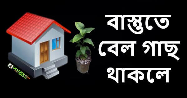 বাস্তুতে বেল গাছ থাকলে কি হয়