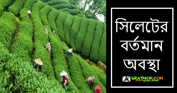 আসসালামু আলাইকুম। কেমন আছেন সবাই? আশা করি আল্লাহর রহমতে সবাই ভাল আছেন। আমিও আপনাদের দোয়ায় আনেক ভালো আছি। আজকের পোস্টে  সিলেটের বর্তমান অবস্থা নিয়ে কথা বলতে যাচ্ছি। তো আর দেরি না করে চলুন শুরু করা যাক। সিলেটের বর্তমান অবস্থা চা শ্রমিকদের বিক্ষোভ:- আমাদের দেশে শ্রমিক রা ন্যায্য মূল্য বা পারিশ্রমিক পাই না সব ধরণের কর্মক্ষেত্র থেকে। সিলেটে চা শ্রমিকদের ও একই অবস্থা, বর্তমান বাজারে তাদের পারিশ্রমিক ১২০ টাকা ছিল। যেখানে দ্রব্য মূল্য থেকে শুরু করে সব ধরণের জিনিসপত্রের দাম আকাশ ছোয়া, সেখানে চা শ্রমিকদের পারিশ্রমিক অতি নগন্য। আমাদের দেশে শ্রমিক রা যুগ যুগ ধরে অবহেলিত, যা অন্য কোনো রাষ্ট্যে বা দেশে এ রকম অবহেলিত না। চা মালিকেরা চা শ্রমিকদের সাথে এ বৈষম্য সৃষ্টি করেছেন। চা শ্রমিক রা কাজ ছেড়ে দিয়ে আন্দোলন শুরু করেন, তাদের পারিশ্রমিক বা বেতন বাড়ানোর জন্য। প্রথম ধাপের আন্দোলনে ১২০ টাকা থেকে আরো ২৫ টাকা বাড়িয়ে মোট ১৪৫ টাকা করে। এতে তারা আবার কাজে যোগ দান করেন। কিন্তু গত ২১ আগস্ট থেকে তারা আবার পুনরায় আন্দোলন শুরু করেন। দৈনিক পারিশ্রমিক বা বেতন ১৪৫ টাকা প্রত্যাখ্যান করে তারা ৩০০ টাকা মজুরি করার দাবি করেন। চা শ্রমিকদের দাবি হচ্ছে দৈনিক মজুরি ৩০০ টাকা দিতে হবে এবং এটা যাতে বাস্তবায়ন হয়। বন্যার পরিস্থিতি:- বাংলাদেশের উচু জেলা গুলোর ভিতর একটি হলো সিলেট। এই বছরের মে - জুন এর দিকে সিলেটি প্রবল ভাবে বন্যা দেখা দেয়, যা কখনো এর আগে সিলেট বাসী দেখে নাই। বন্যায় সিলেটে অনেক ক্ষয়-ক্ষতি হয়, সেখানে অনেক মানুষের প্রাণহানি হয় এবং অনেকে আশ্রয়হীন হয়ে পরে। খাদ্য, বিশুদ্দ পানি, বিদ্যুৎ সংযোগ থেকে শুরু করে নিত্য প্রয়জনীয় সকল কিছুর সংকটে পরে সিলেট বাসী। অনেকেই অনেক কষ্টে দিন পার করেছেন, তারা বন্যার শুরুর দিকে কোনো ধরণের ত্রাণ সহায়তা পান-নি বলে দাবি করেছিলেন। তারা বিভিন্ন আশ্রয় কেন্দ্রে রয়েছেন, পরের দিকে আমাদের দেশের রাজনৈতিক, বিভিন্ন ধরণের সংগঠন, বিভিন্ন ধরণের ব্যাবসায়িক প্রতিষ্ঠান, শিল্পপতি, প্রবাসী এবং কিছু ব্যক্তিক বা লোকজন সাহায্যের হাত বাড়িয়েছেন এবং সবাই একত্ব হয়ে বন্যার সমস্যা কাটিয়ে উঠেছেন। এখন সিলেটের অবস্থা স্বাভাবিক আছে, মানুষ জন তাদের বন্যা পরিস্থিতি কাটিয়ে উঠে স্বাভাবিক জীবনে পীরে এসেছে। সিলেটে বর্তমান জনসংখ্যা ও রাজনীতি:- সিলেটে জনসংখ্যা সিটি কর্পোরেশন এর হিসেবে অনুযায়ী ৪,৭৯,৮৩৭ জন। তাদের তথ্য অনুযায়ী শিক্ষার হার মোট জনসংখ্যার ৬৭.৬%। সিলেট জেলা বা সিটি কর্পোরেশন এ রয়েছে ২৭ টি ওয়ার্ড এবং ২৩৬ টি গ্রাম বা মহল্লা। সিলেটে রয়েছেন অনেক গুণী সাহিত্যিক, রাজনীতিবিদ, ইসলামী চিন্তাবিদ। কথা সাহিত্যিক সৈয়দ মুজতবা আলীর জন্ম এই সিলেট জেলায়। সাবেক স্পিকার হুমায়ন রশিদ চোধরী, মাওলানা আতহার আলী, সাবেক শিক্ষা মন্ত্রী নুরুল ইসলাম নাহিদ সহ অনেক গুণী রাজনীতিবিদ দের জন্ম সিলেট জেলায়। পোস্টটি কেমন লাগলো দয়া করে কমেন্টে জানাবেন, যদি ভাল লেগে থাকে তাহলে অবশ্যয় শেয়ার করবেন, পোস্টটি পড়ার জন্য ধন্যবাদ। এমন সব দারুন দারুন পোস্ট পেতে Grathor এর সাথেই থাকুন এবং গ্রাথোর ফেসবুক পেইজ ও ফেসবুক গ্রুপ এ যুক্ত থাকুন, আল্লাহ হাফেজ।