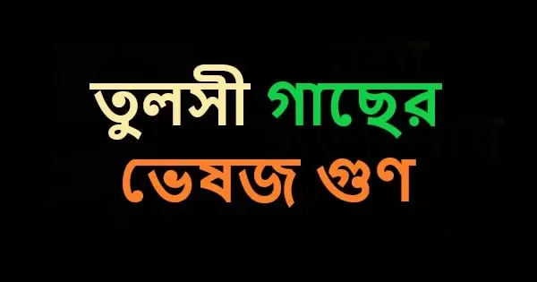 চুলে তুলসী পাতার উপকারিতা, তুলসী পাতার রস খাওয়ার নিয়ম, তুলসী পাতার উপকারিতা ভিডিও, রাম তুলসী পাতার উপকারিতা, তুলসী পাতার উপকারিতা ও অপকারিতা, তুলসী গাছের উপকারিতা, তুলসী পাতার অপকারিতা,