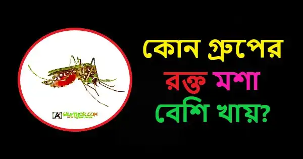 কোন গ্রুপের রক্ত মশা বেশি খায়