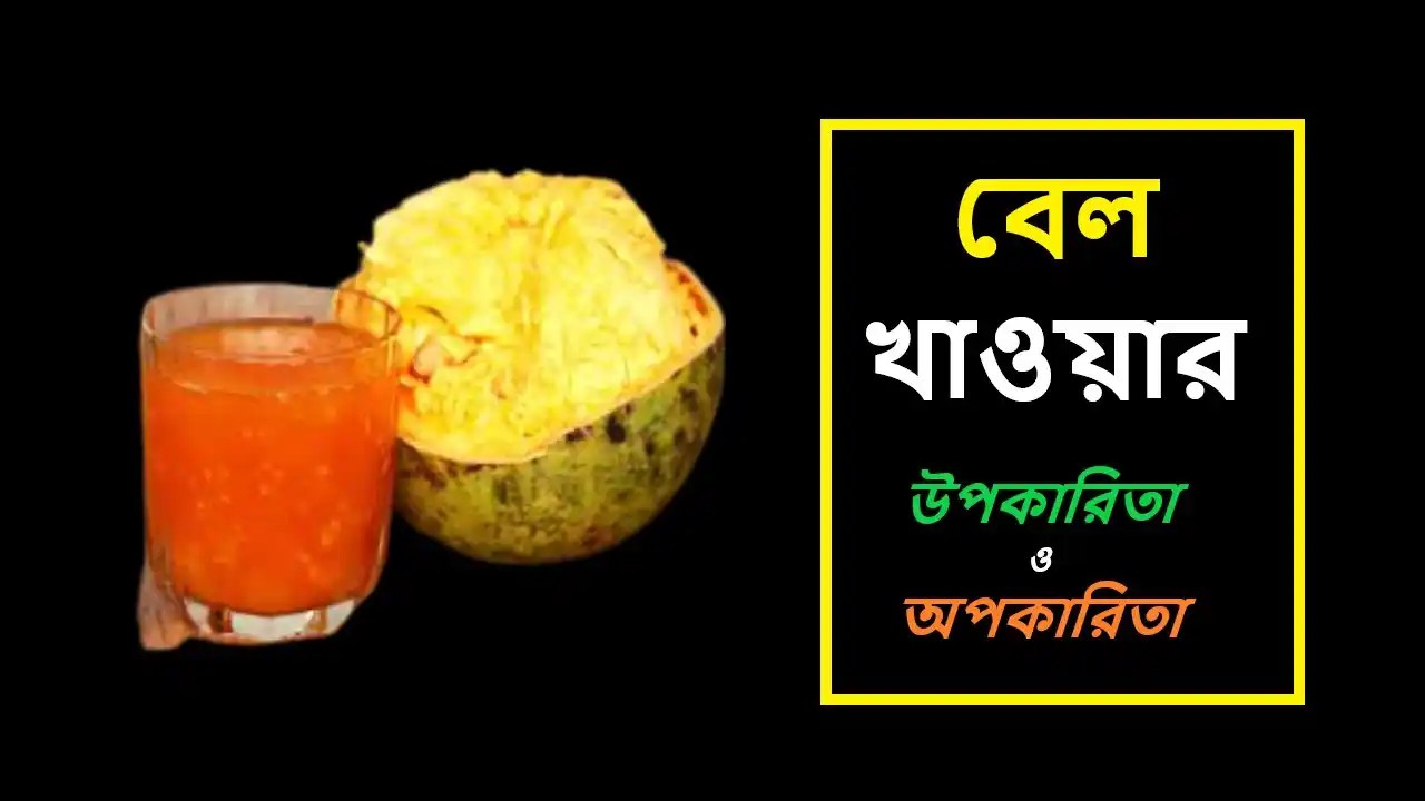 বেল খাওয়ার উপকারিতা ও অপকারিতা