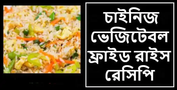 চাইনিজ ভেজিটেবল ফ্রাইড রাইস রেসিপি