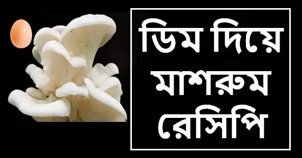 ডিম দিয়ে মজাদার মাশরুম রেসিপি