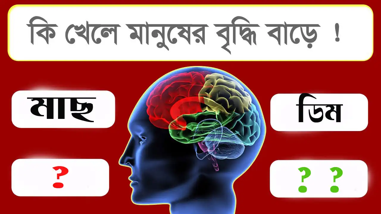 কি খেলে বুদ্ধি বাড়ে - ব্যাখ্যা করুন