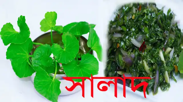 থানকুনি পাতার পাহাড়ি সালাদ