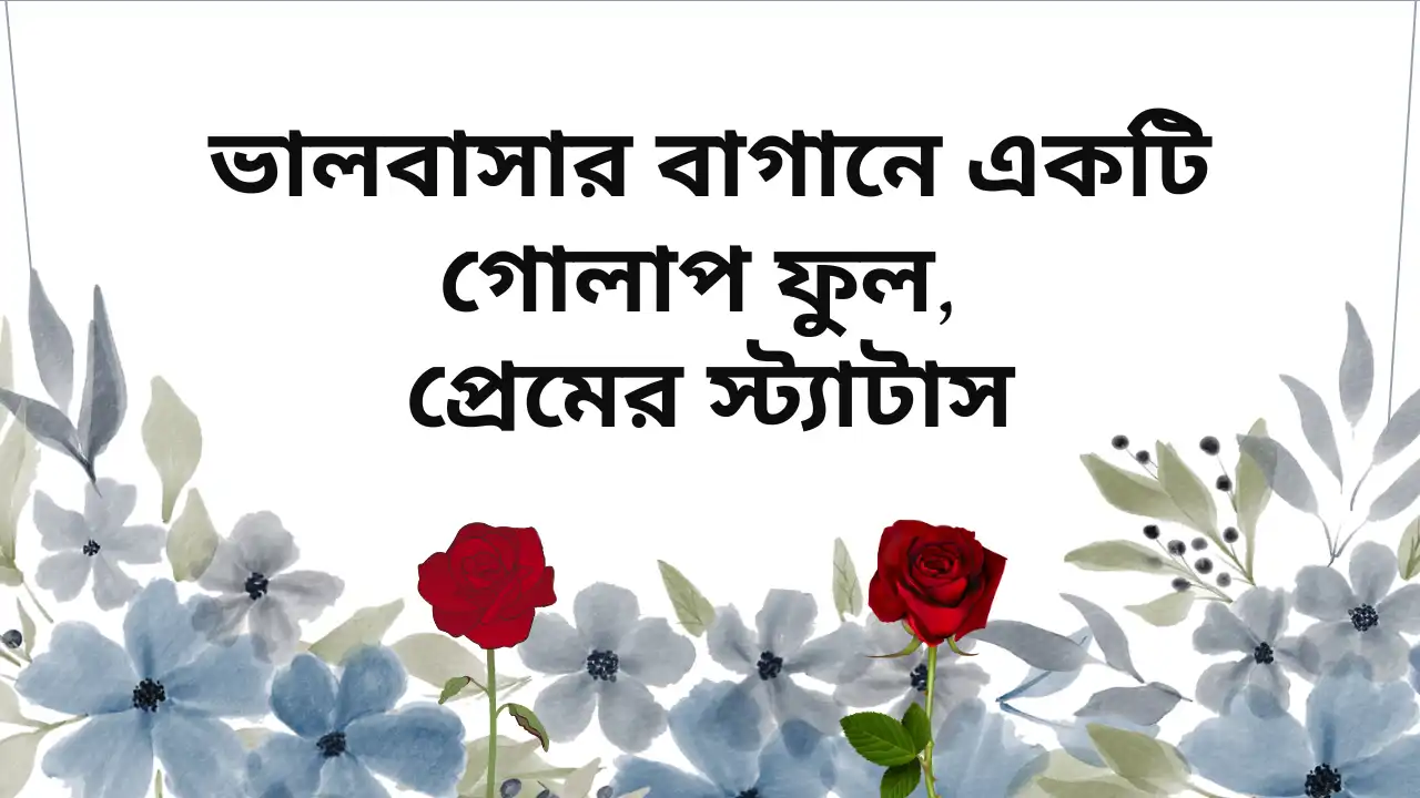 ভালবাসার বাগানে একটি গোলাপ ফুল, প্রেমের স্ট্যাটাস