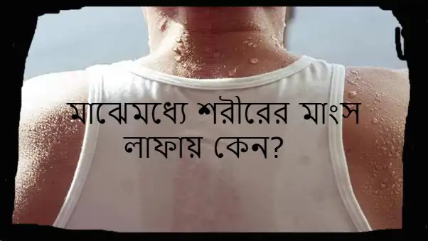 শরীরের মাংস লাফালে কি হয়