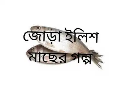 জোড়া ইলিশ মাছের গল্প