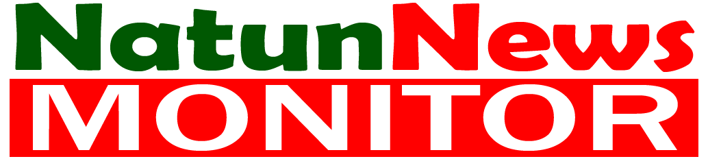 Natunnewsmonitor Logo